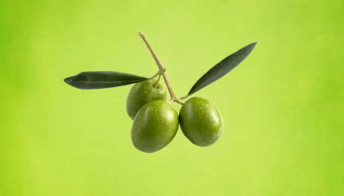 can you eat olives raw