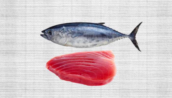 Nutritionist Explain What Does Tuna Taste Like The Definitive Guide 